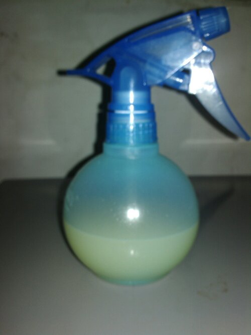 Pembasmi Semut Alami Dengan Jeruk Nipis | emaerdei