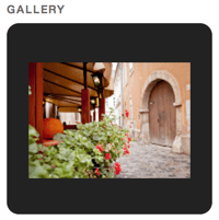 Gallery with Slideshow Style