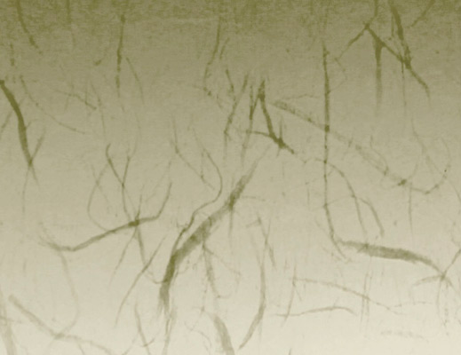 Embedded Interlayer 01