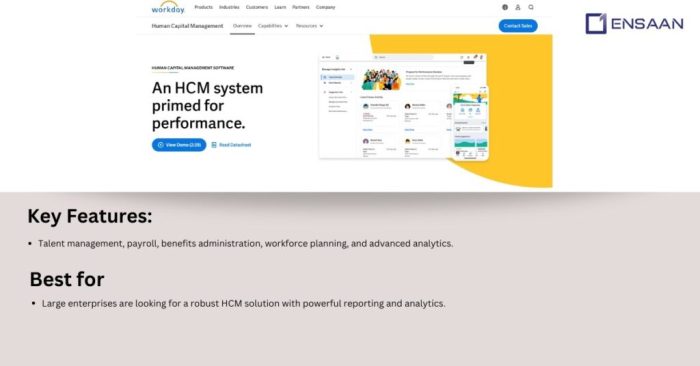 Best Hcm Software Transforms Modern Workplace Operations