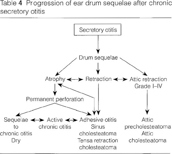 The Pneumatic System of the Temporal Bone Ento Key