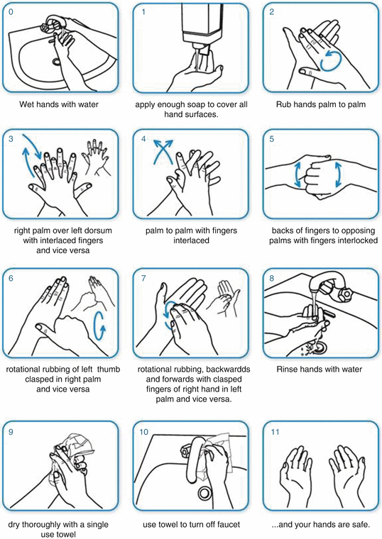 Guidelines for Safe Surgery Ento Key
