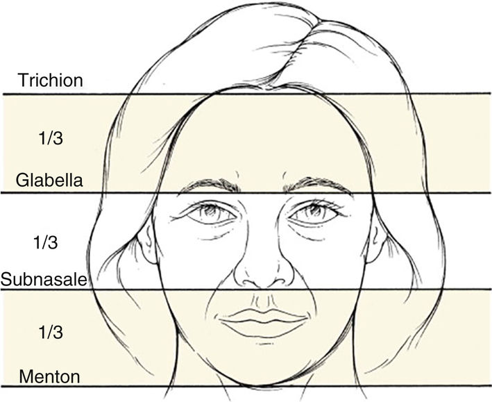 Facial Plastic and Reconstructive Surgery Ento Key