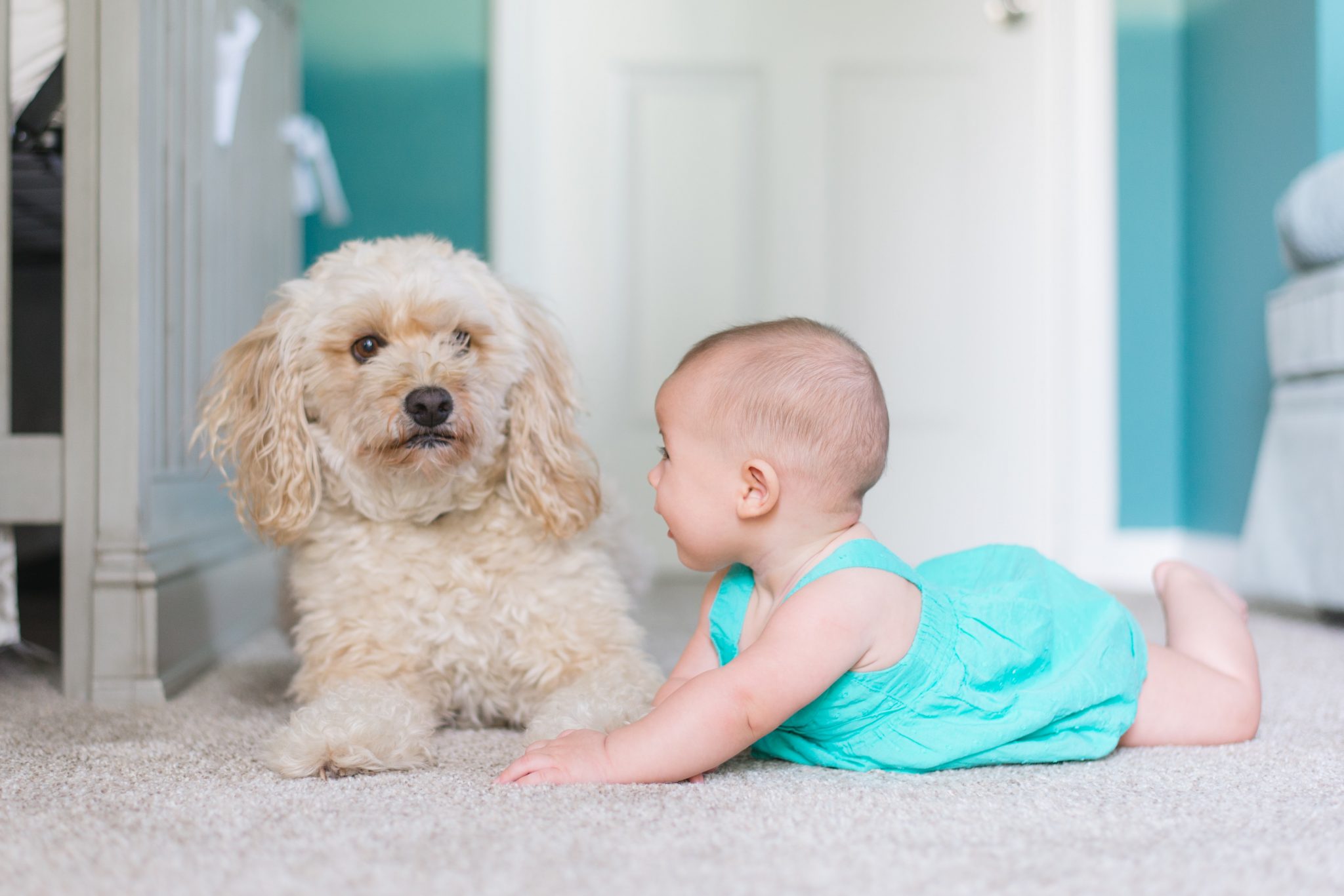 How often should you replace your carpet? » Envirocycle London