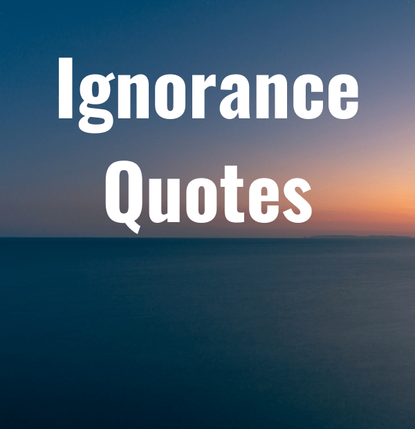 When we have a president who says things like “i will build a great, great wall on our southern border, and i will have mexico pay for that wall” as his answer to immigration, it's no wonder we’re keen to read other funny stuff said by equa. 40 Ignorance Quotes Epic Quotes Com