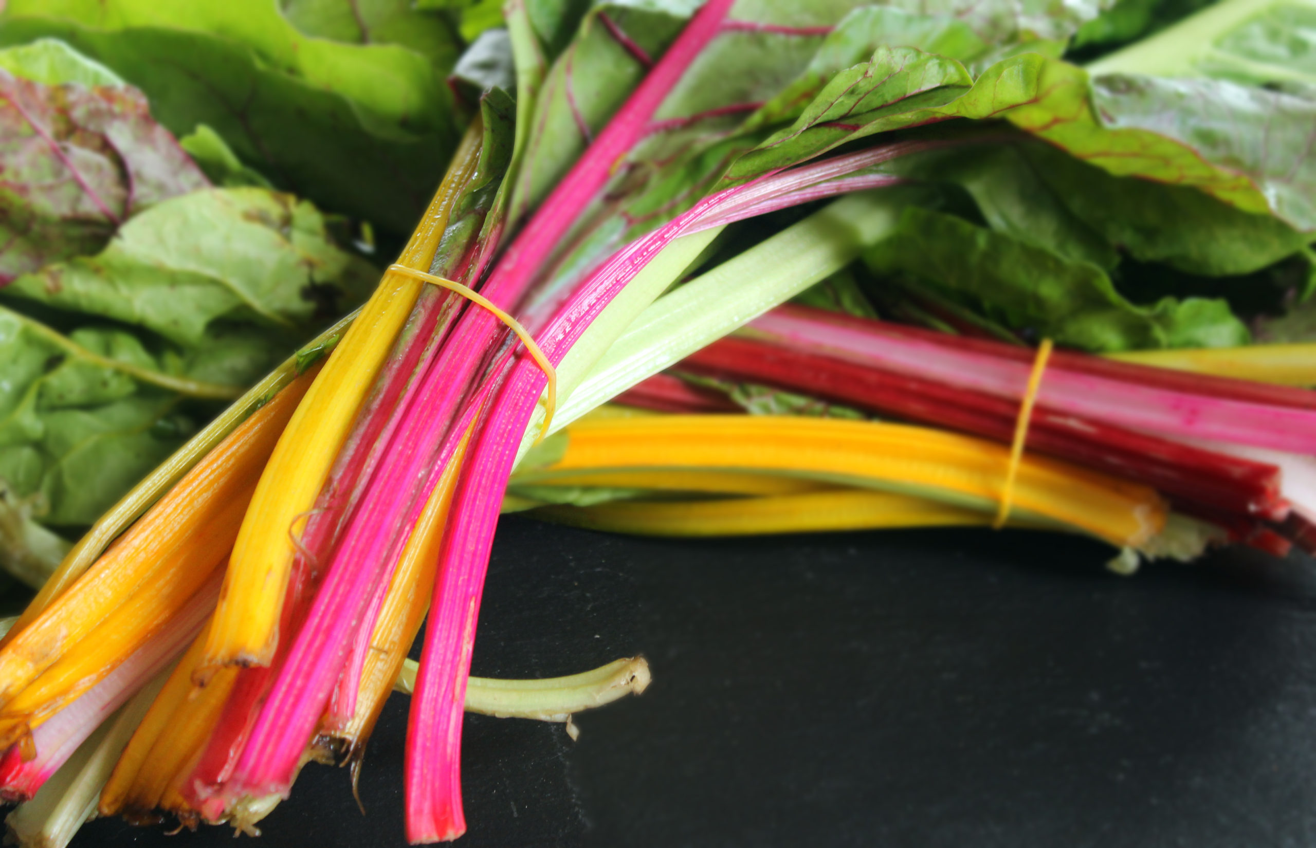 Chard Color Swiss Chard Colors – What is Swiss Chard? – IULA