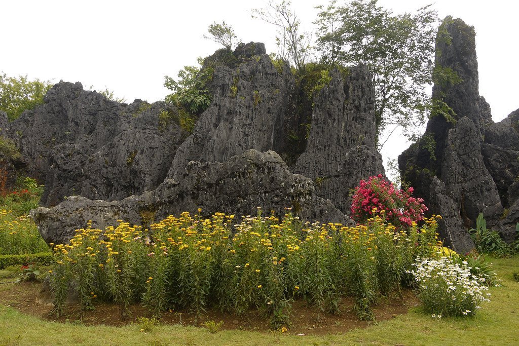 Ham Rong Flower Garden