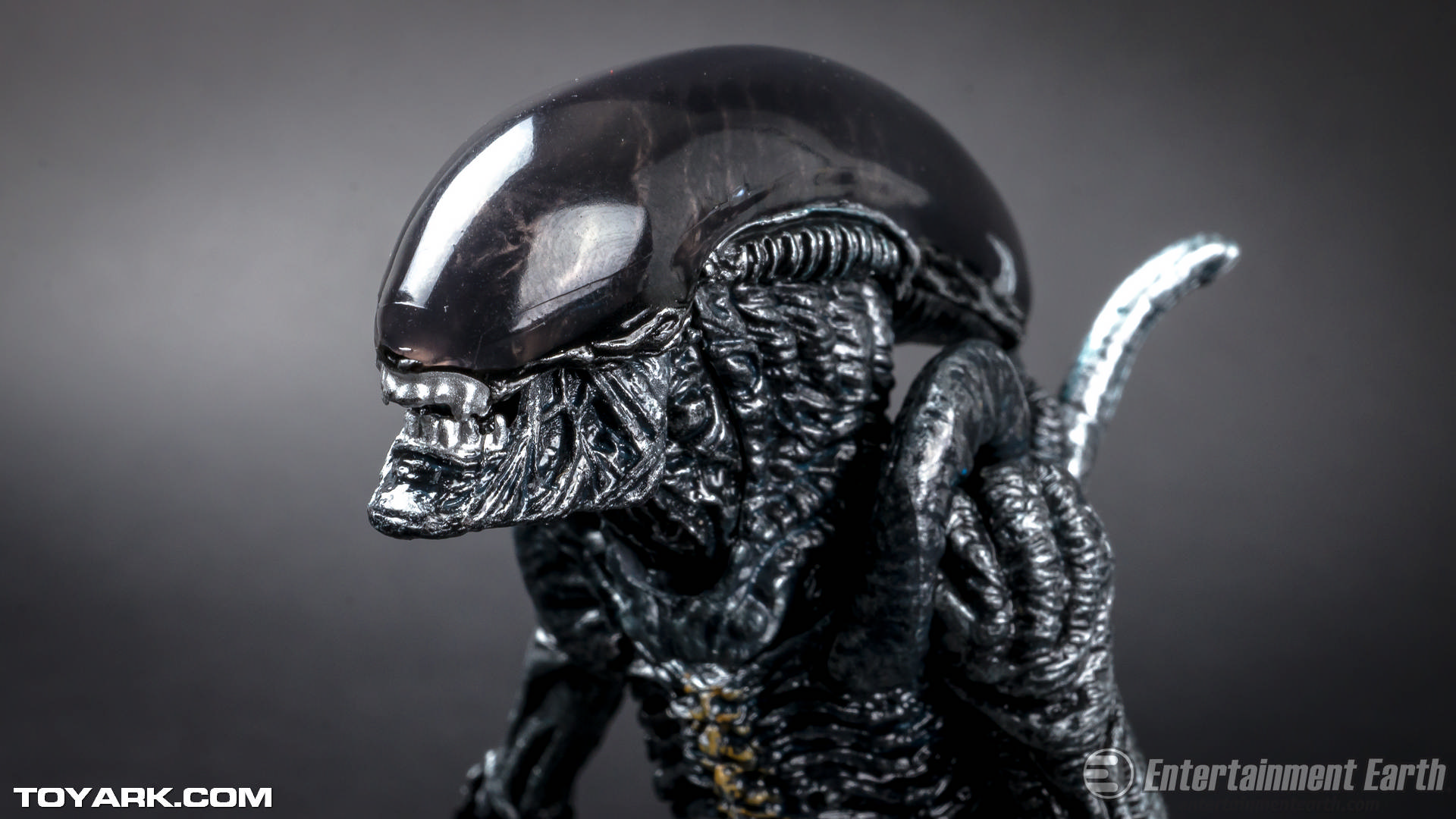 All of the alien wallpapers bellow have a minimum hd resolution (or 1920x1080 for the tech guys) and are easily downloadable by clicking the image and saving it . Alien Wallpaper 1920x1080 8867