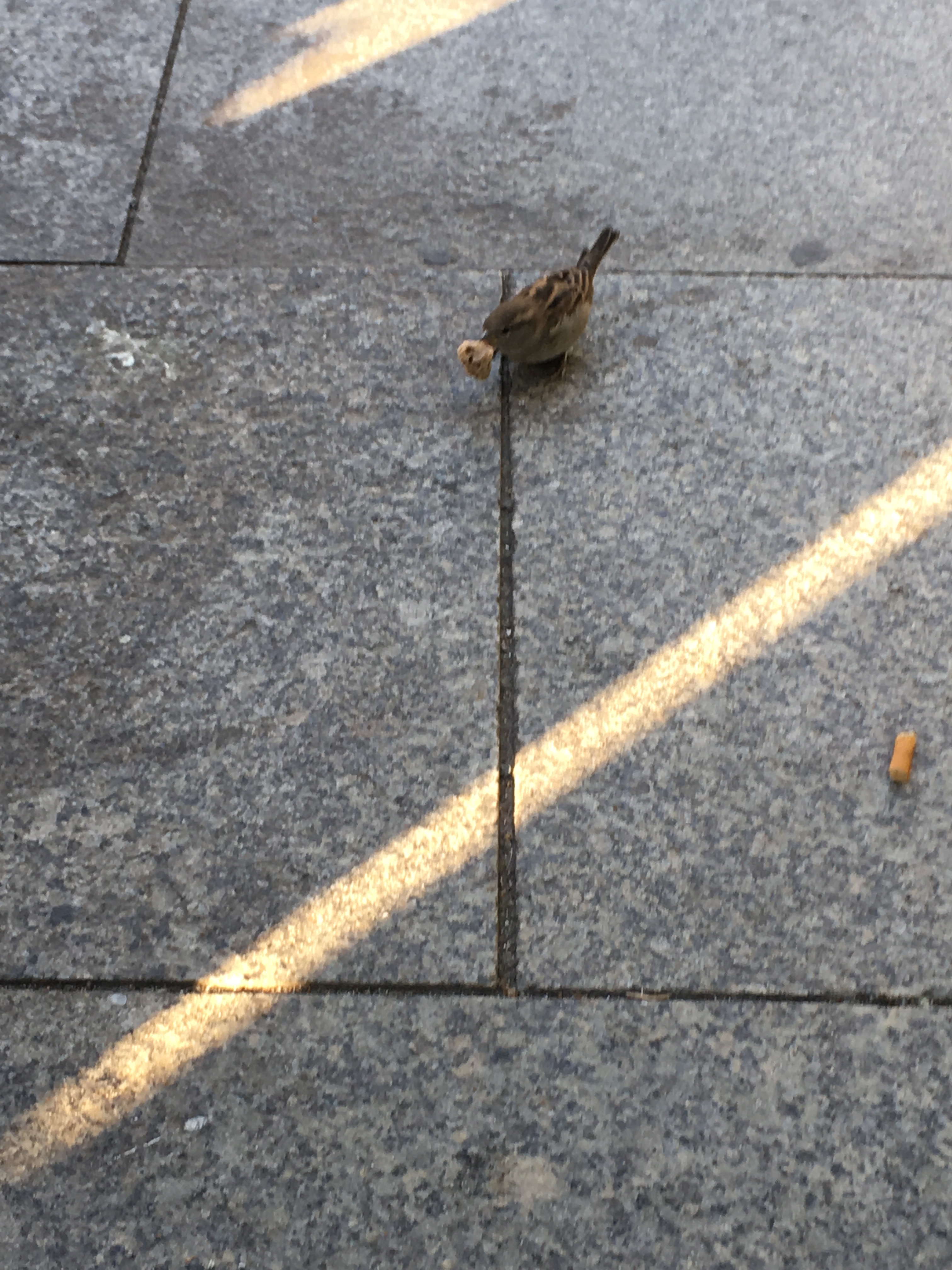 Am Ende Wird Alles Gut? – Es Wird Zeit, Dass Es Zeit Wird. 4032_x_3024_jpg