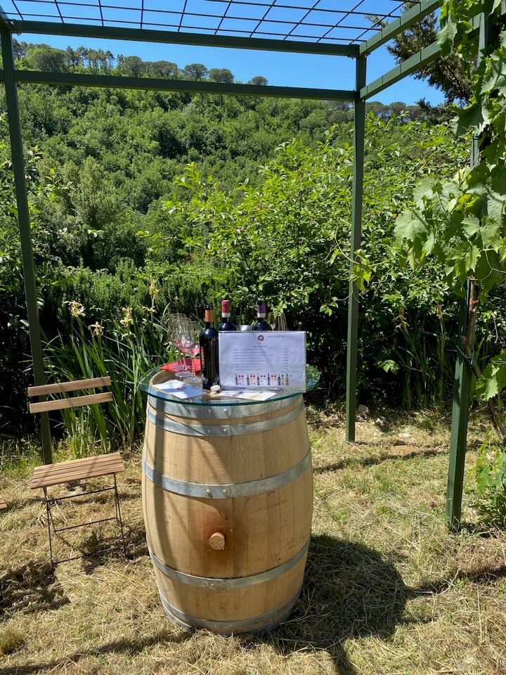Dégustation à la cave Carus Vini dans le Chianti