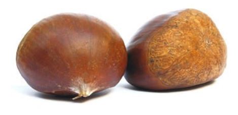 Ici vous trouvez la solution exacte à codycross arbre qui produit un bois très noir pour continuer dans le paquet saisons groupe 69 grille 5. Correction complete