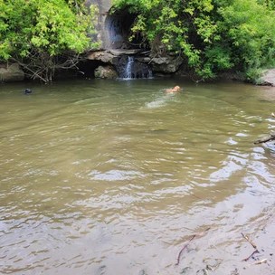 Harmony Dog Park