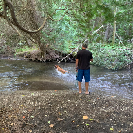 Duffins Creek Conservation