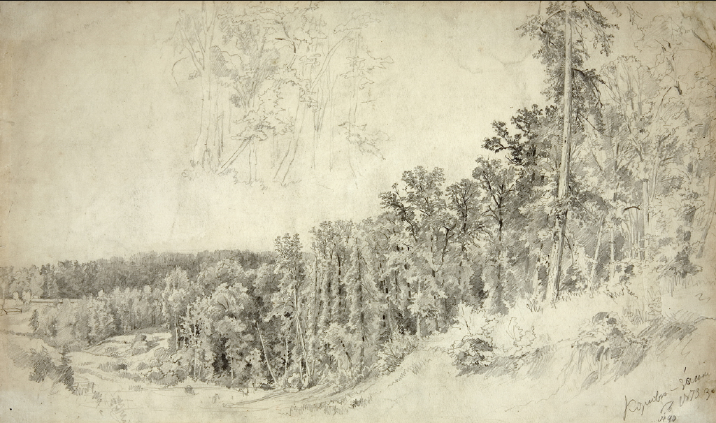 рожь нарисовать штрихами