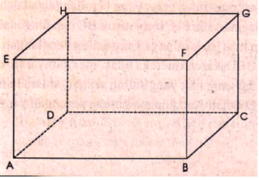 Garis yang bersilangan dengan garis ef adalah. Hubungan Titik Garis Dan Bidang Dalam Ruang Dimensi Tiga Mathematic Is Fun