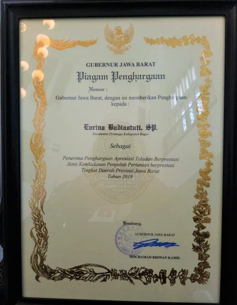 Achievement - EVRINASP