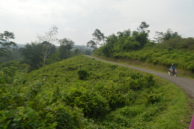 gunung padang