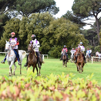 In the world of endurance horse racing, rider and trainer pedro pablo gomez knows his animals need more than speed to finish a race. Longines Fei Endurance World Championship 2021 Discovery The Website
