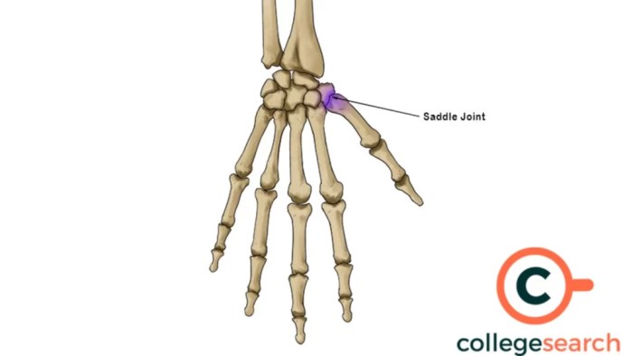 Saddle How does inspire work for sleep apnea