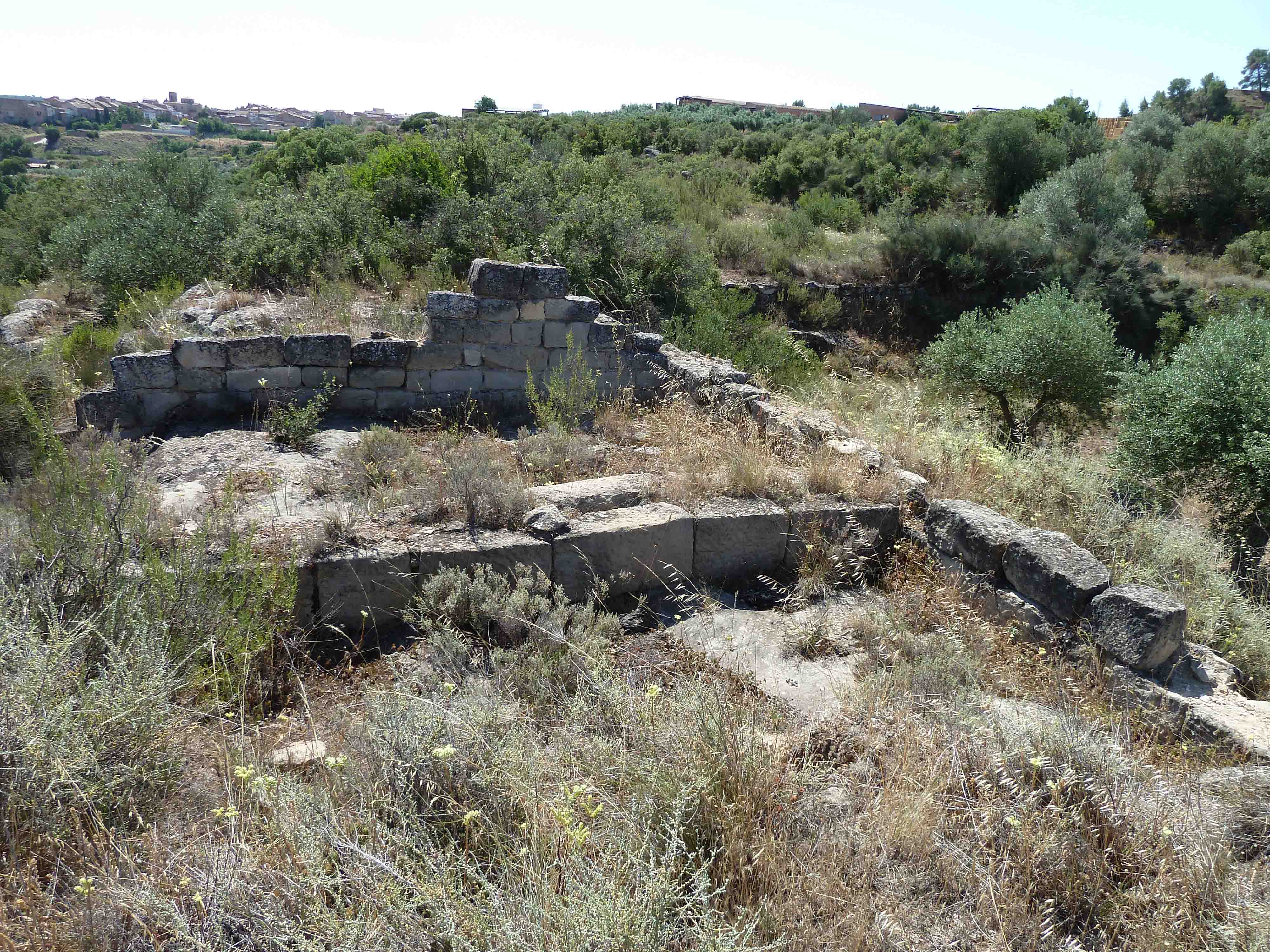 Mas A Aspa Patrimoni Existencial