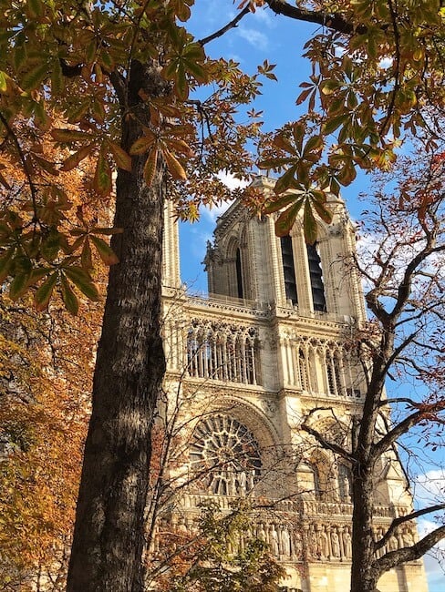 Page officielle de la cathédrale. Wow Notre Dame De Paris 37