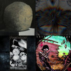 Is alluring and adventurous, as in the new bring me the workhorse. Bring Me The Workhorse | My Brightest Diamond