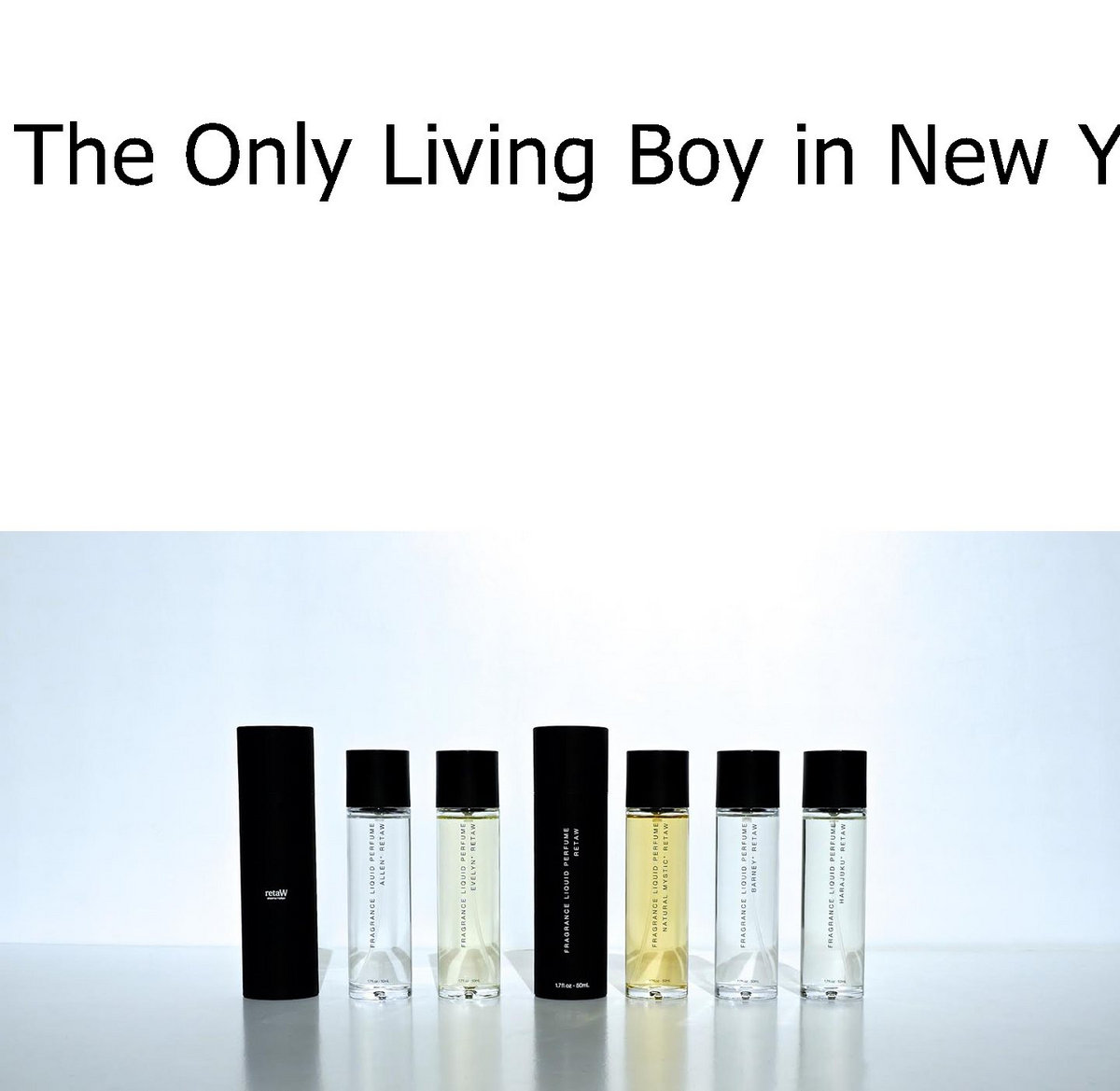 Download Torrent Nebo Sledovat The Only Living Boy In New York 2017 Film Zdarma Lehmcroptatasav