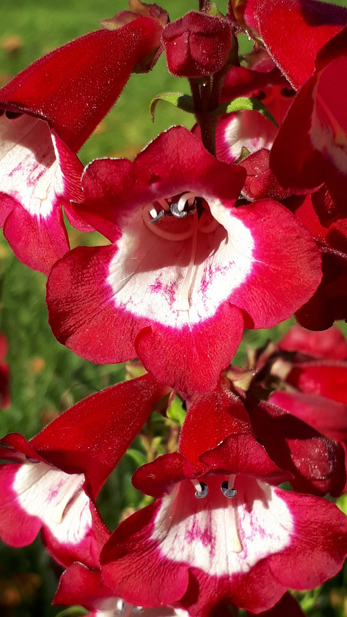 Free · calming down & relaxation | storm | forest hut. 432 Hertz Meditation Music Vol 2 6 Hours Of Music Royalty Free Commercial Use Tera Mangala Meditation Music