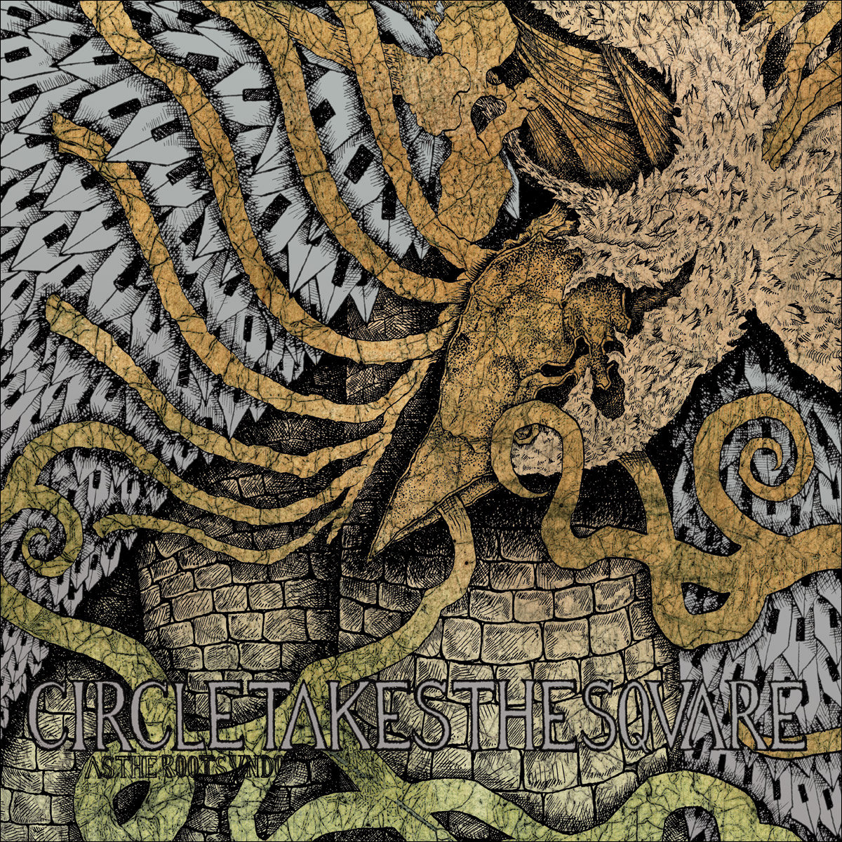 In the nervous light of sunday lyrics by circle takes the square: As The Roots Undo Circle Takes The Square