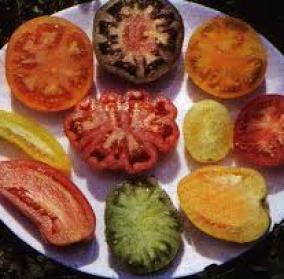 Tourte blettes comme Nice: classique avec touche