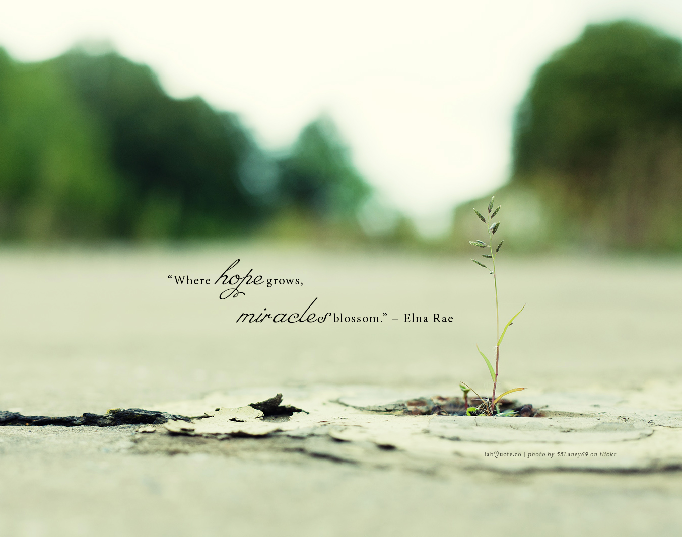 Today, we live in a time where people are predominated by an undying urge to know and find reasons behind everything. Miracle Quotes Fabquote Co