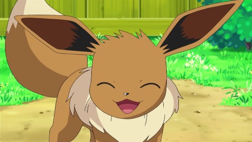 Currently, if you make eevee your buddy pokemon you can evolve it into umbreon or espeon without walking 10 km's! 10 Facts about Eevee | Fact File