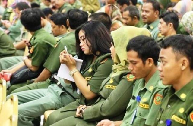 Tunjangan kinerja yang membuat nominal gaji pppk semakin besar. Pppk Nikmati Gaji Lebih Besar Dari Pns Ini Perbandingannya Fajar