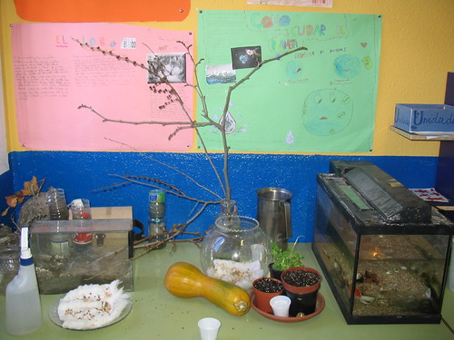 EL RINCÓN DE LA NATURALEZA | Blog del Colegio