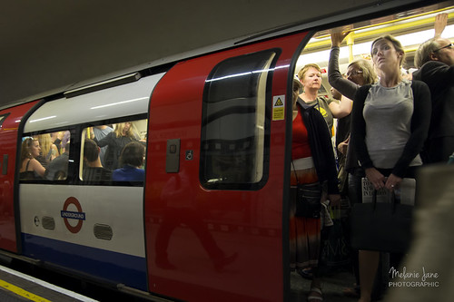 Evening Rush by mjm_nz