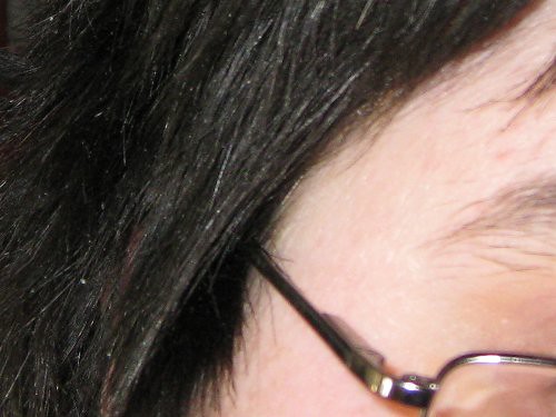 several white hairs on a background of black hair