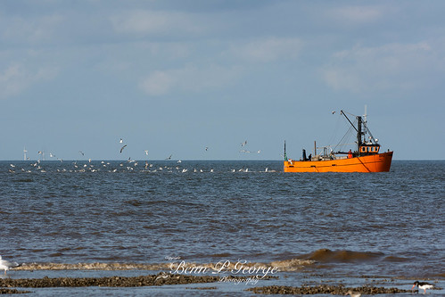 Sea trips on the boston belle. Flickriver Most Interesting Photos Tagged With Beamtrawler