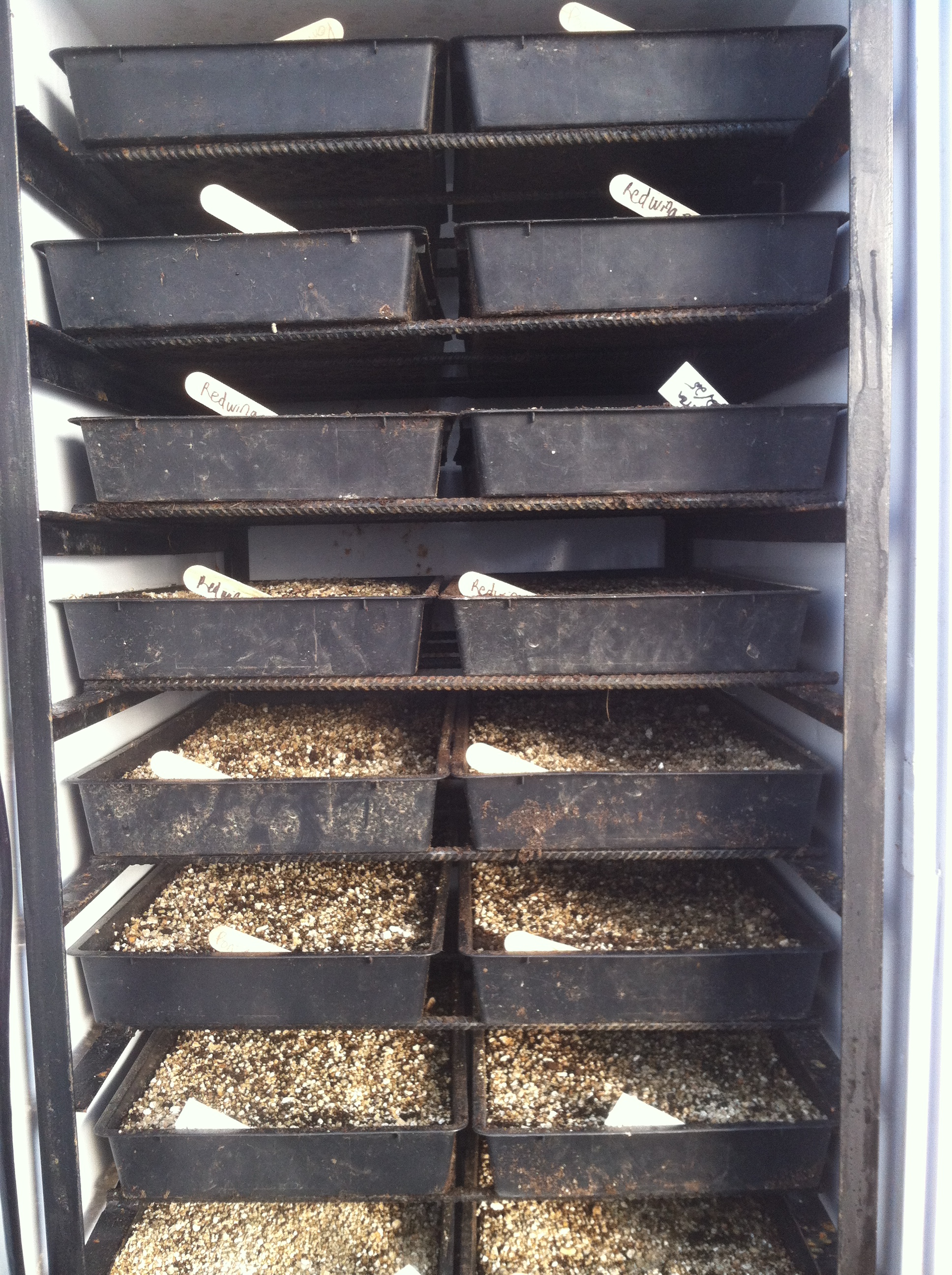 Tomato seeds can be difficult to germinate in compost. Sweat Box Germination Chamber | Farm Hack