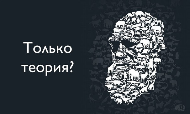 Разница между законом, теорией и гипотезой. Гипотеза и теория