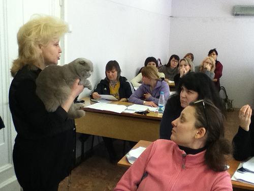 Фелинология: это какая наука. Специалист по домашним кошкам: как называется и чем занимается Наука изучающая кошек