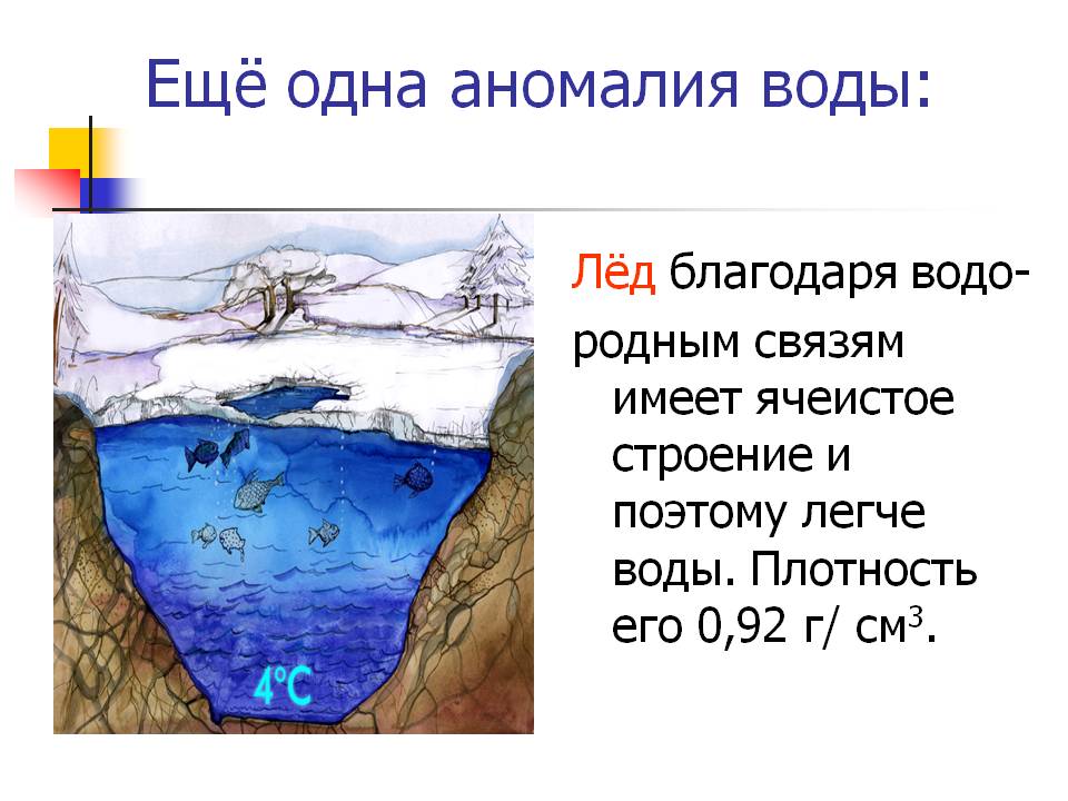 Аномалия плотности воды. Аномалии воды и их характеристика. Структура и формы льда