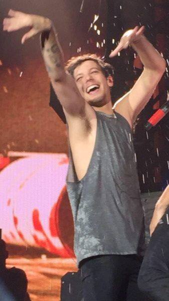 one direction members members of one direction one direction band members_ Louis