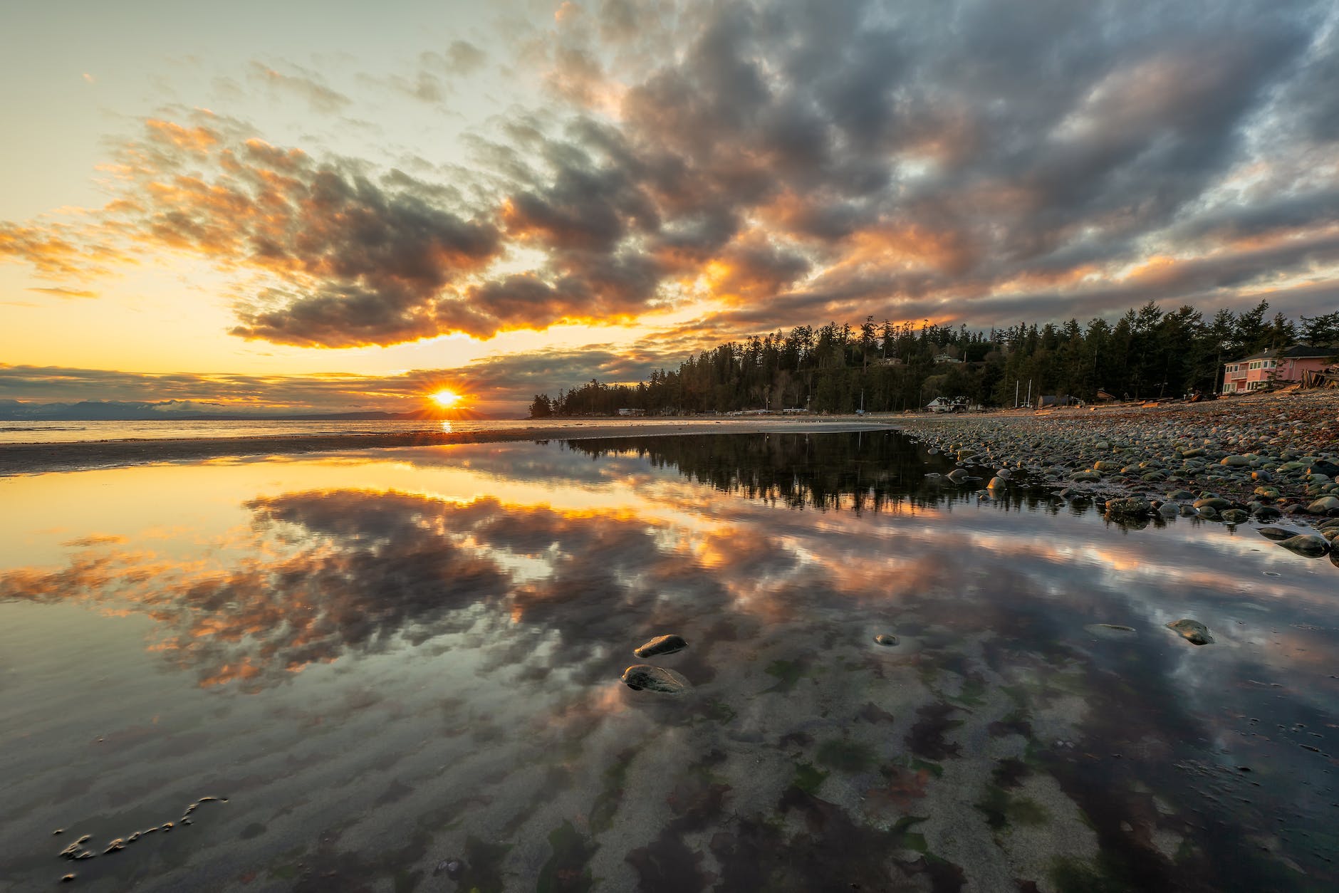 body of water near green trees during sunset