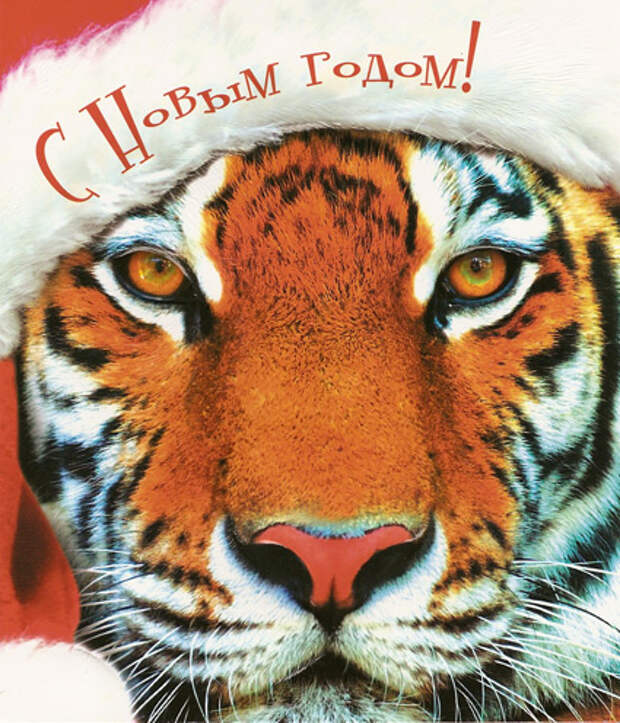 символ 2022 года картинки нарисованные