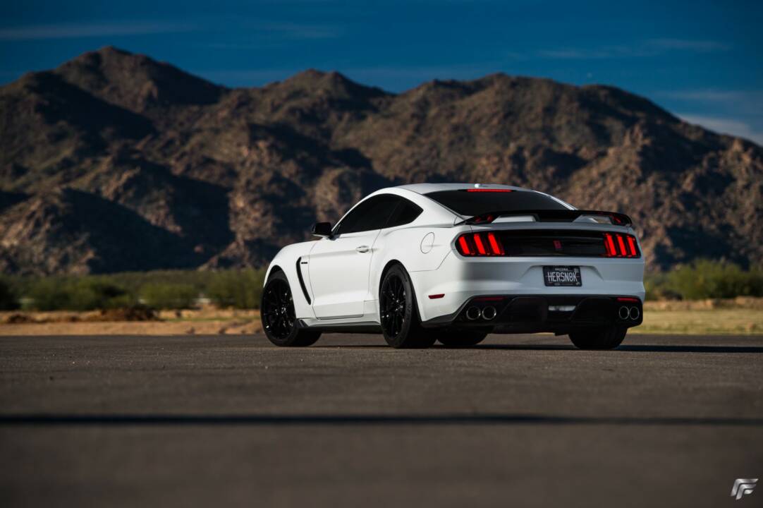 2019-2020 Ford Mustang GT500 GT350 ABS Track Pack Rear Wing