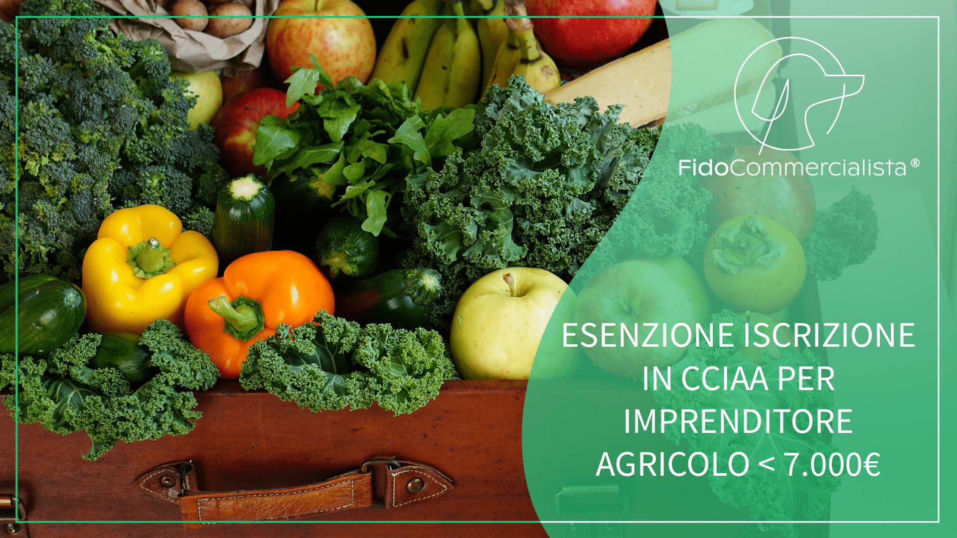 L'imprenditore Agricolo E Obbligo Iscrizione In Cciaa - Fidocommercialista 1080_x_1920_png