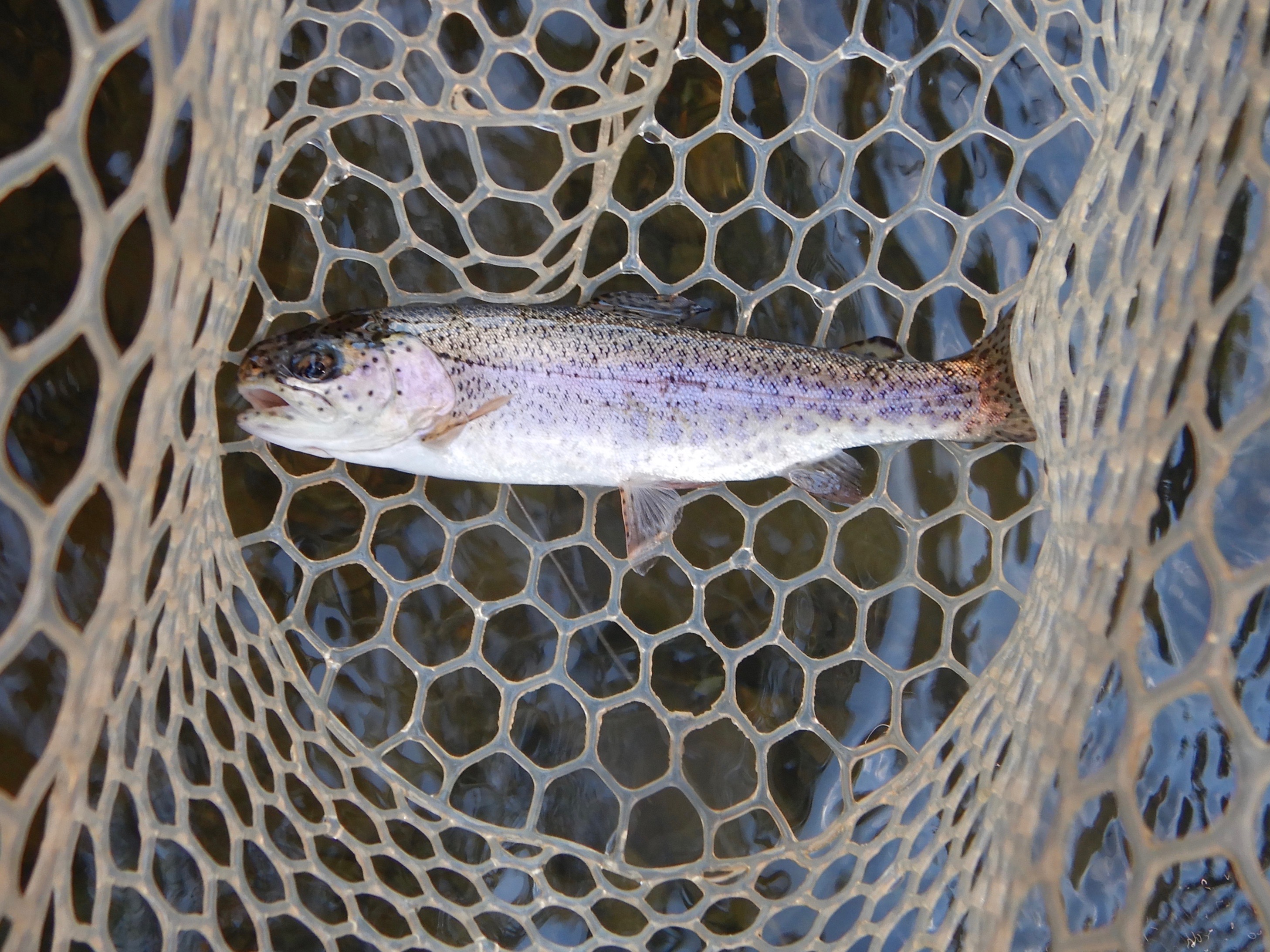 Broken Bow, Oklahoma