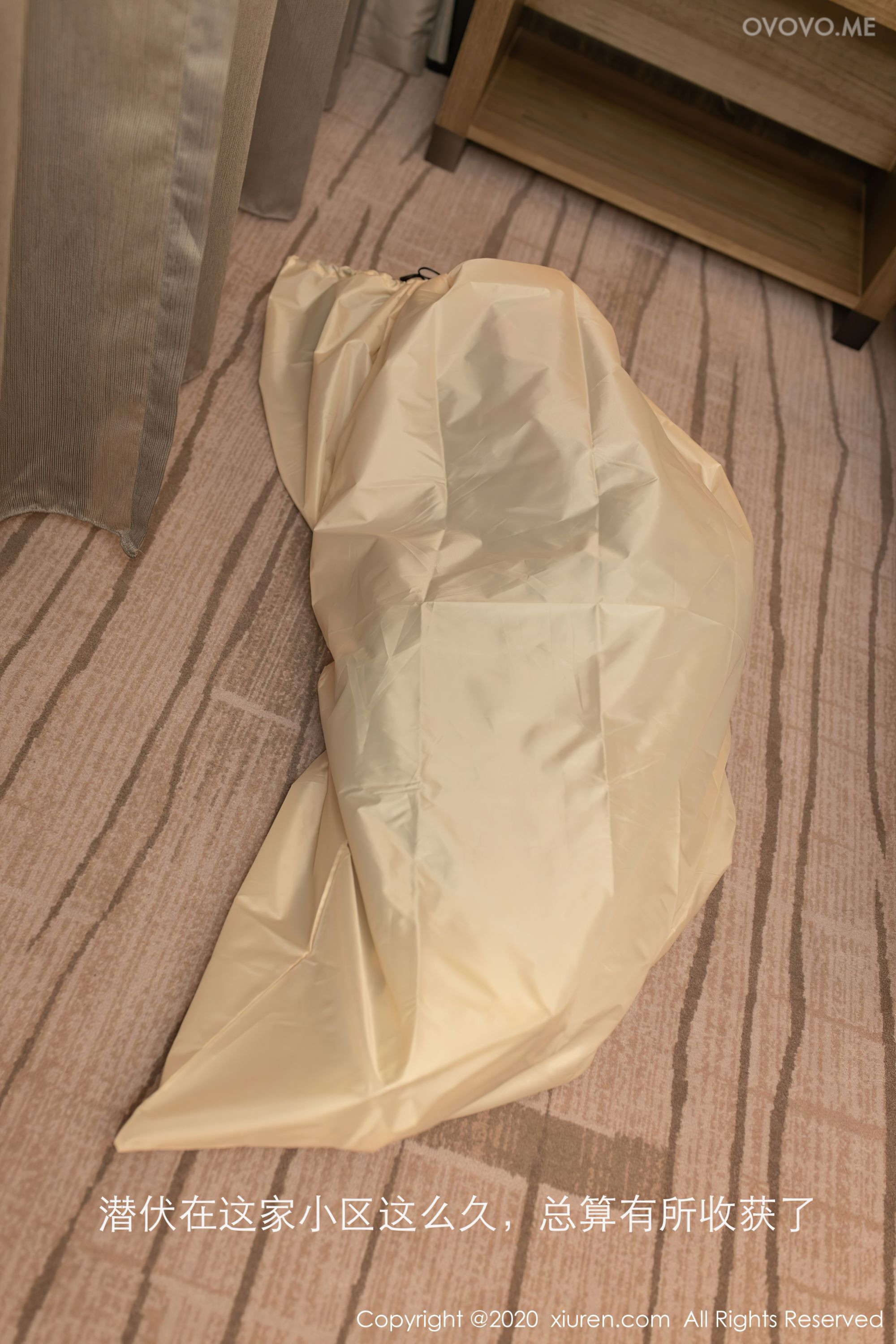 [Xiuren秀人网]NO.2716