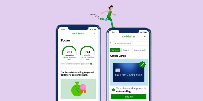 What does net worth mean on credit karma