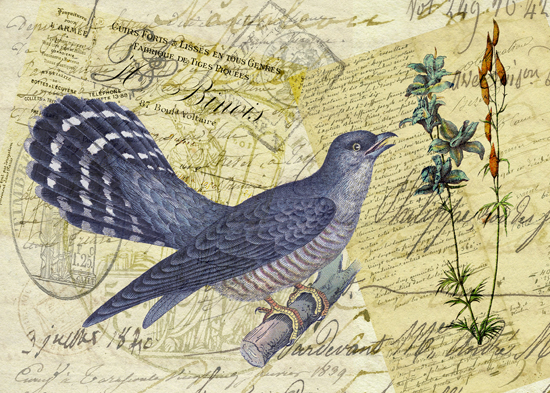 Blue Bird of Happiness © First Night Design